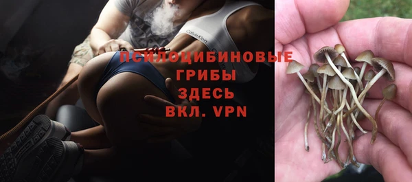 кристаллы Абинск
