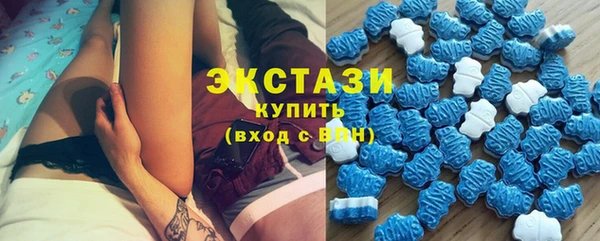 бошки Пересвет